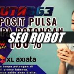 Panduan Isi Modal Bermain Agen Slot Online Deposit Pulsa